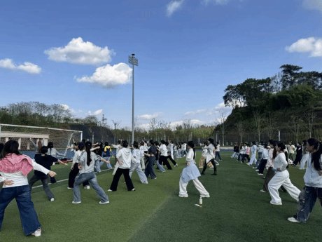 PPT 设计逻辑及核心内容要点进行了
